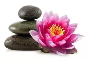 Lotus Flower, New Beginnings and Acupuncture