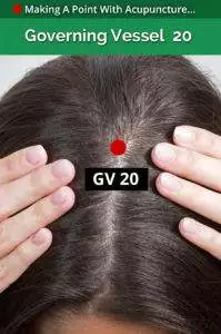 gv 20 acupoint