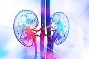 acupuncture kidneys towson Maryland_Jean Donati Acupuncture