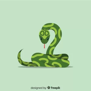 2025 Year of Snake